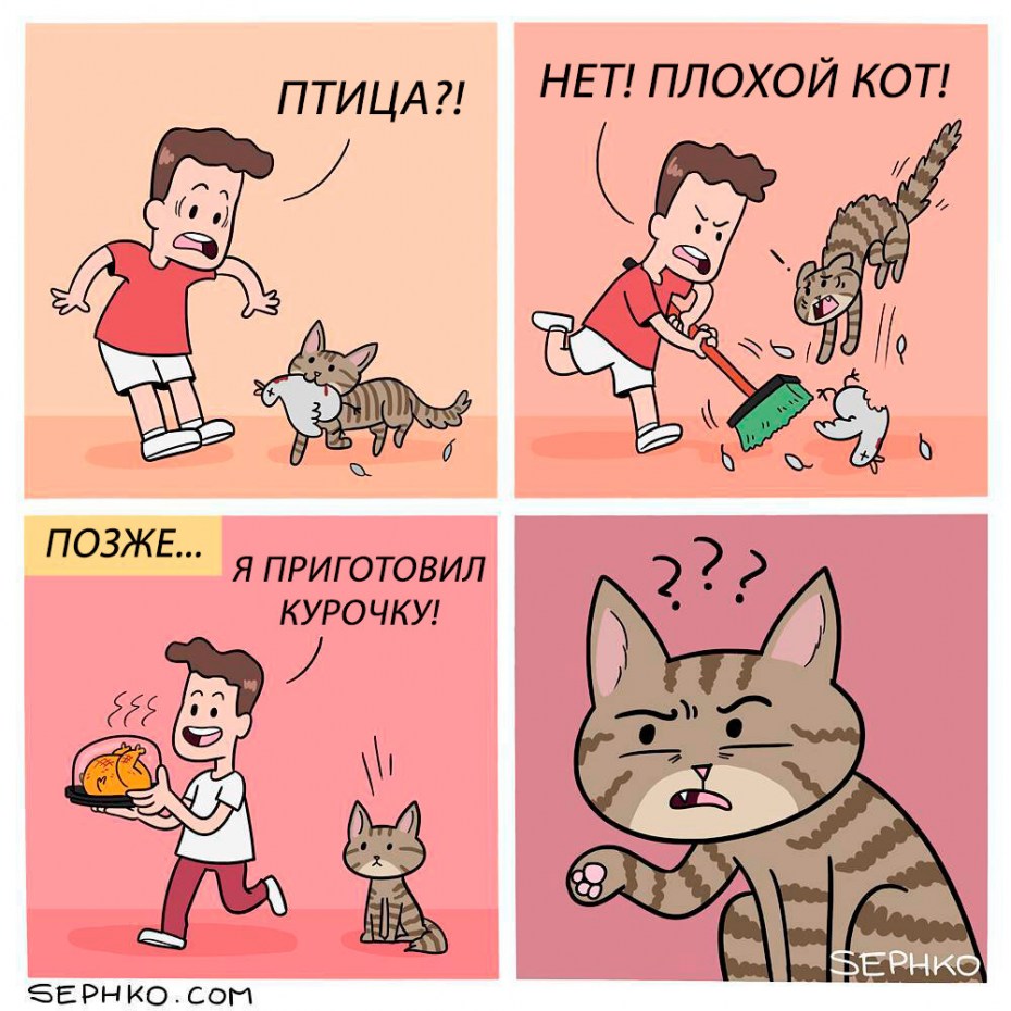 Смешные мемы с котом