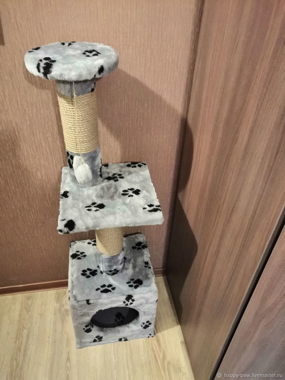 Кошачья когтеточка