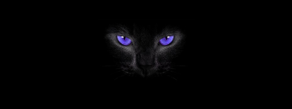 Кошачьи глаза на черном фоне