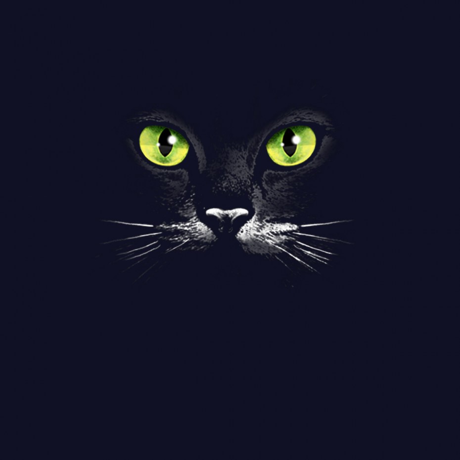 Кошачьи глаза в темноте