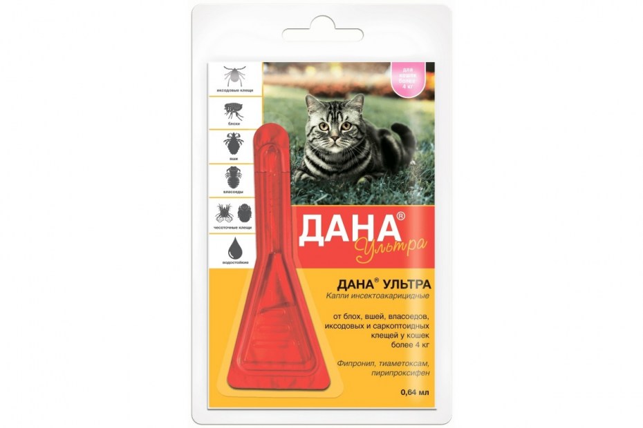 Пчелодар Бинакар