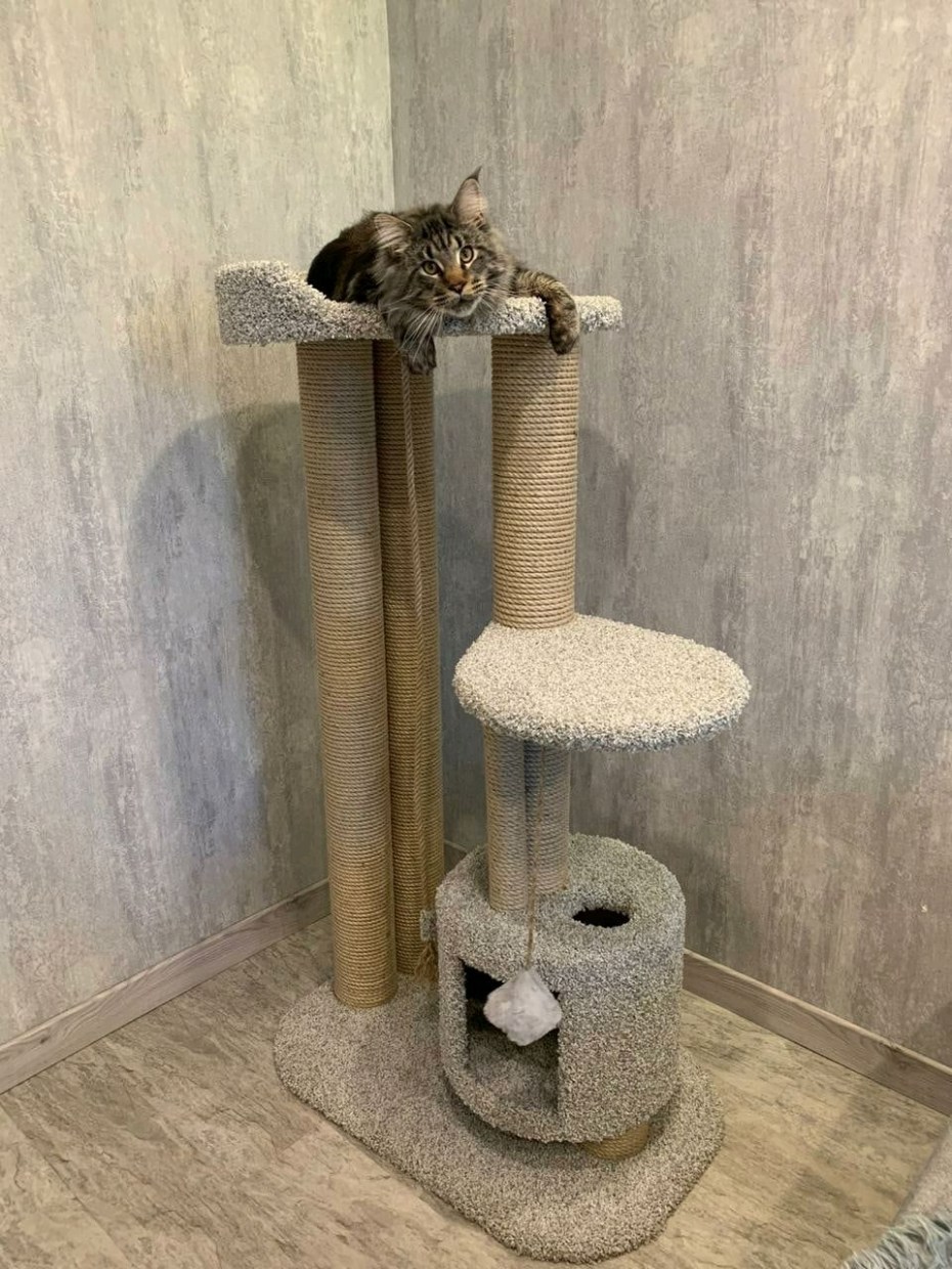 Кошкин дом когтеточка комплекс