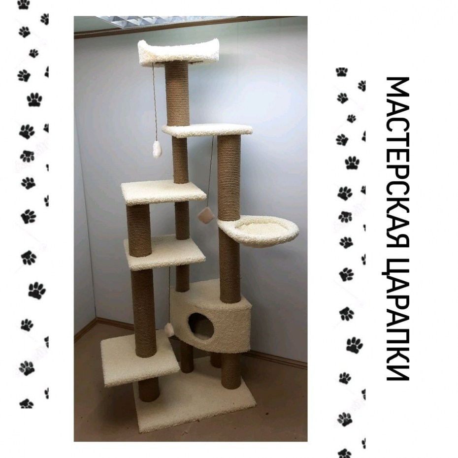 Кошачий комплекс