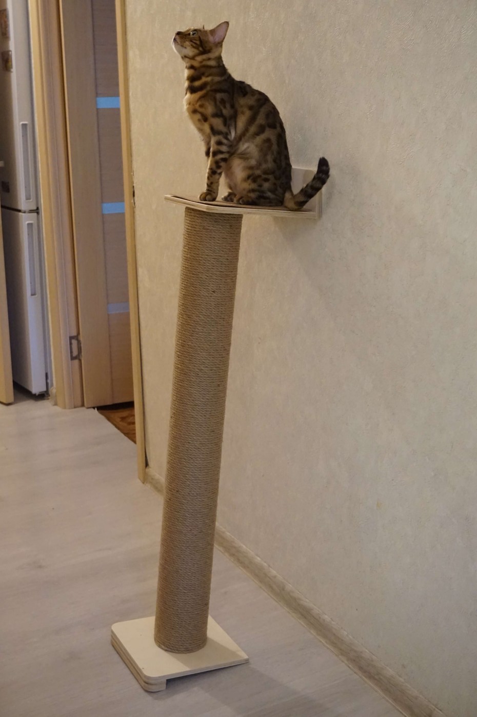 Домик для кошек