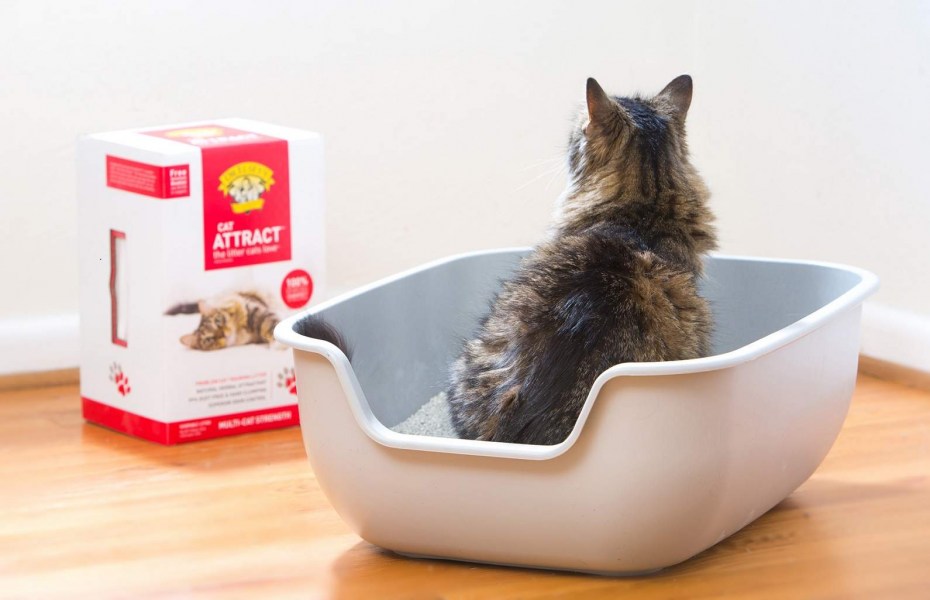 Наполнитель Dr.Elsey's attract Cat