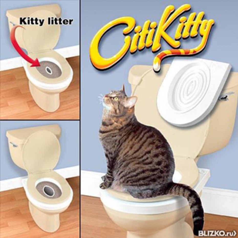 Система приучения кошек к туалету Citikitty
