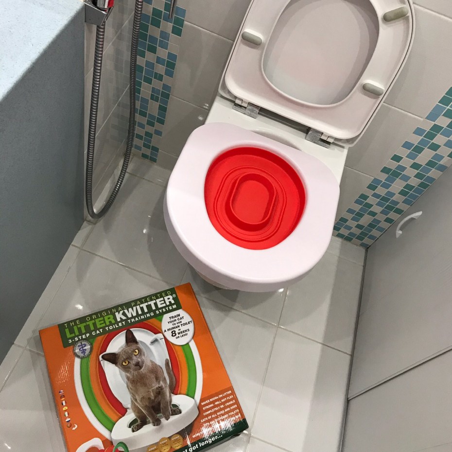 Кошка ходит в лоток
