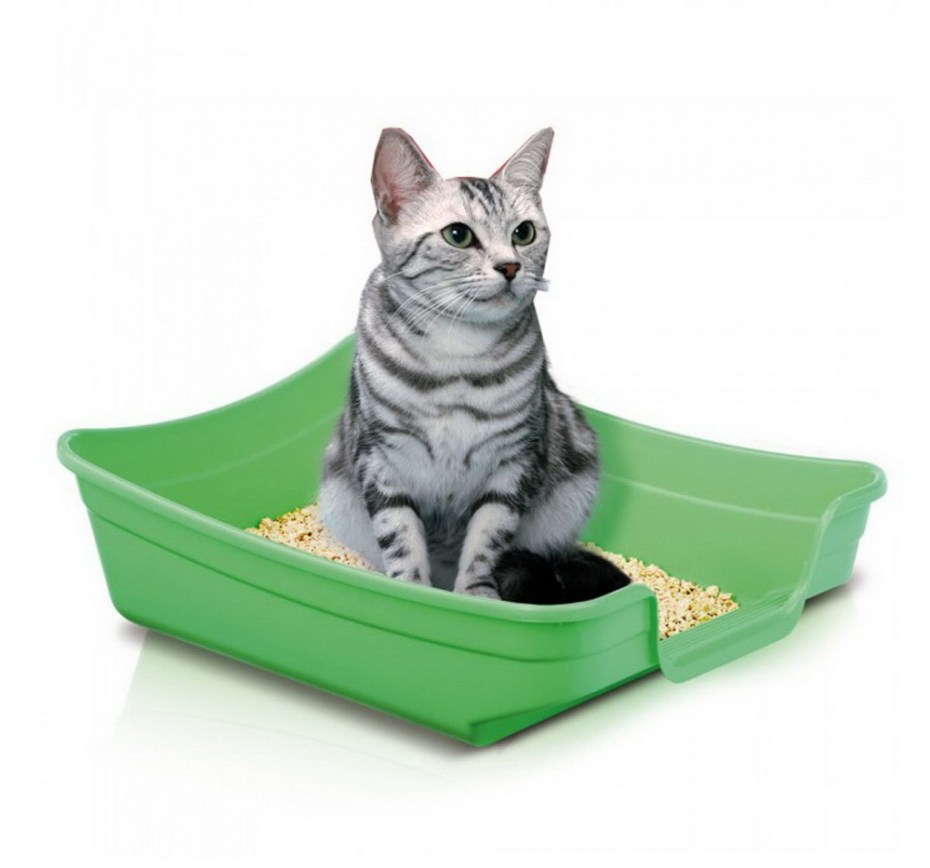 Туалет для котят и грызунов IMAC маленький =Polly= 35х25х10см