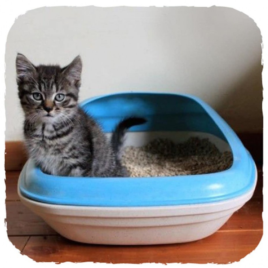 Cat Litter Liners