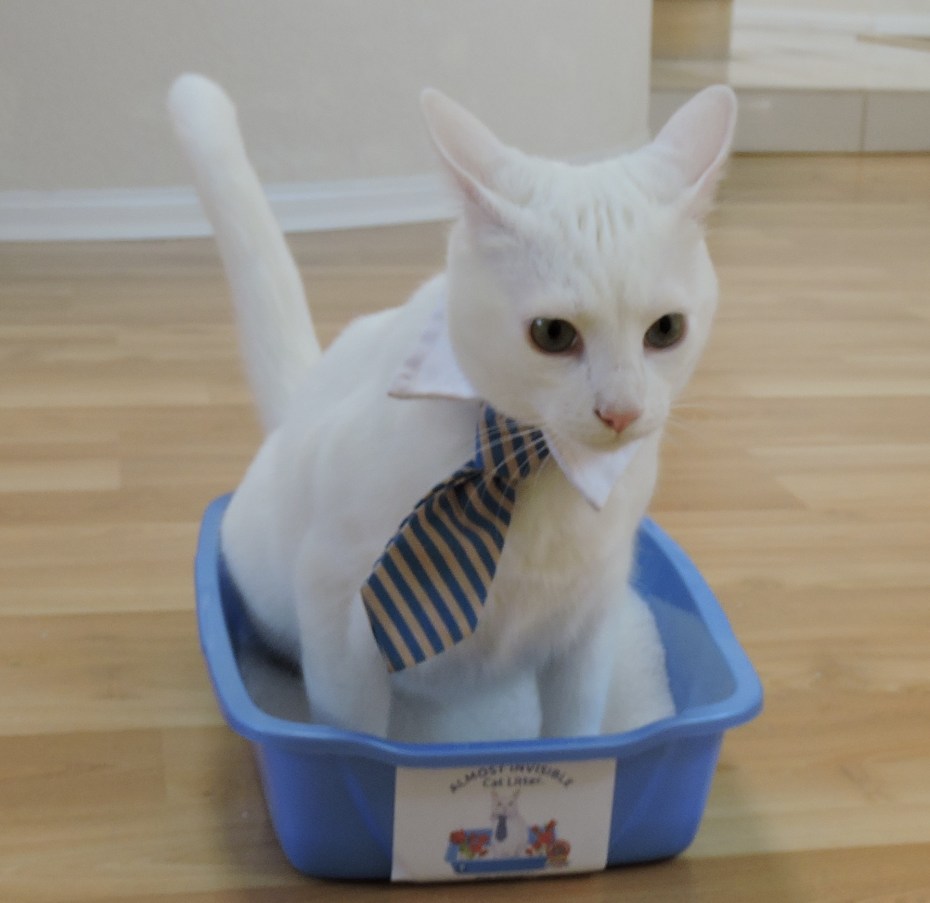 Туалет для кошек сыпучий