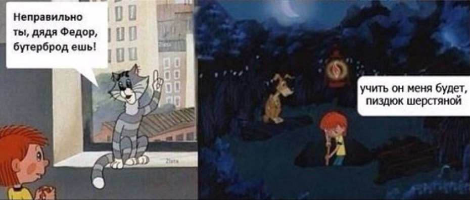 Кот копает
