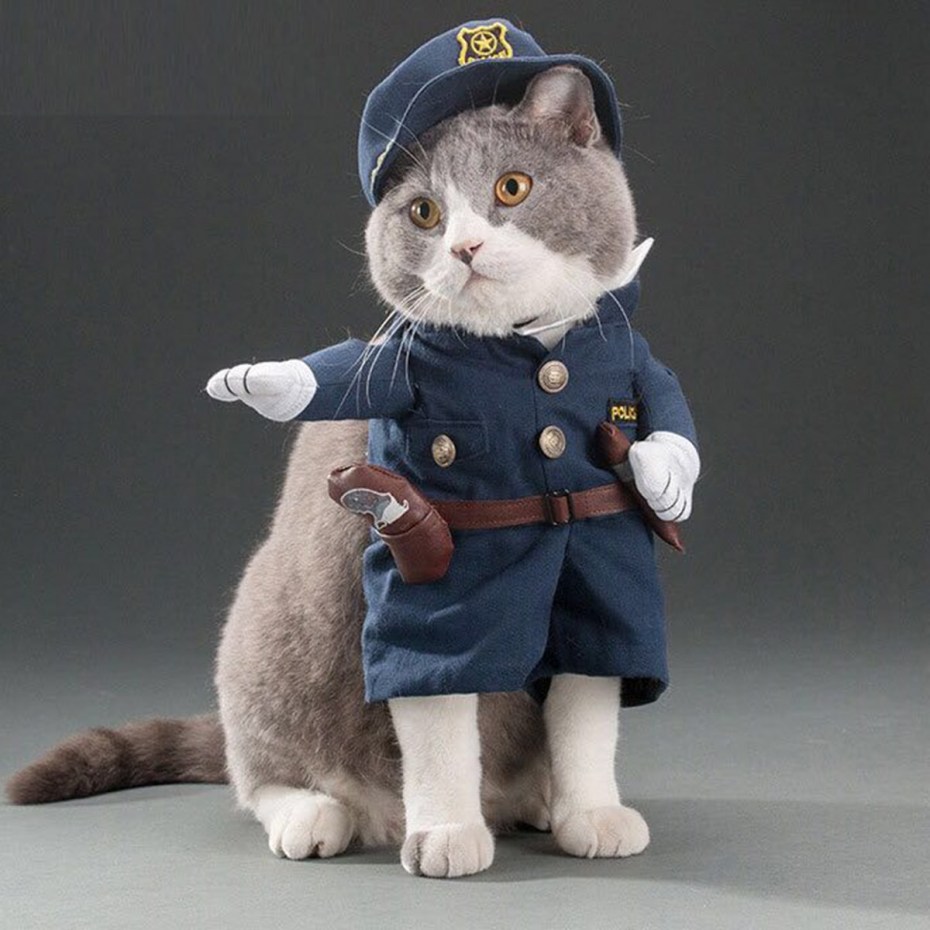 Костюм полицейский для кота