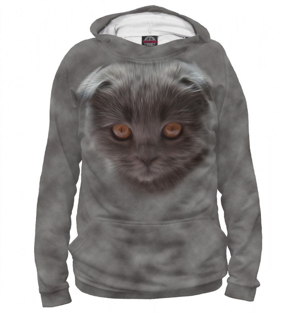 Одежда для вислоухих кошек
