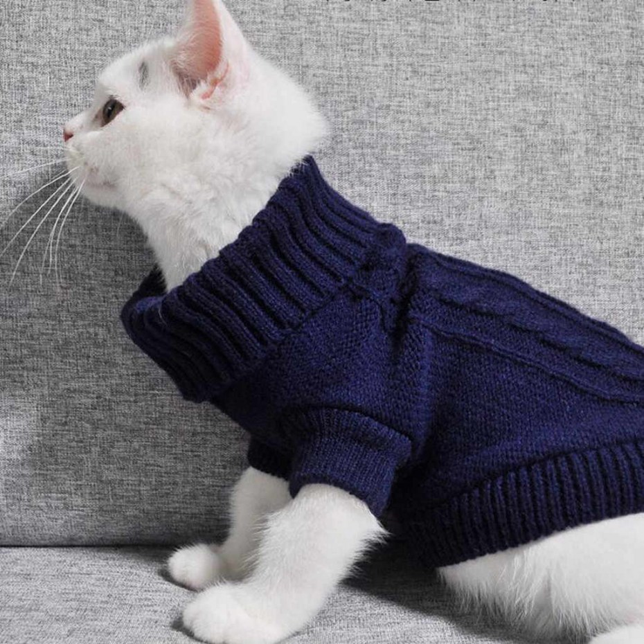 Костюмы на Хэллоуин для котов