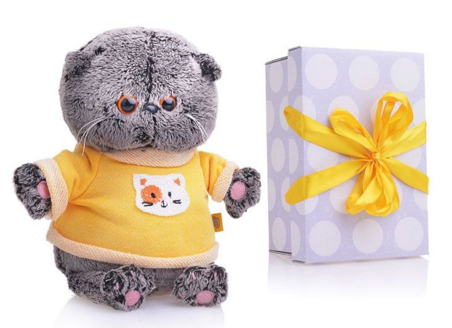 BB-019 Басик Baby в толстовке 20 см