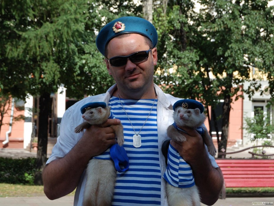 Кот десантник
