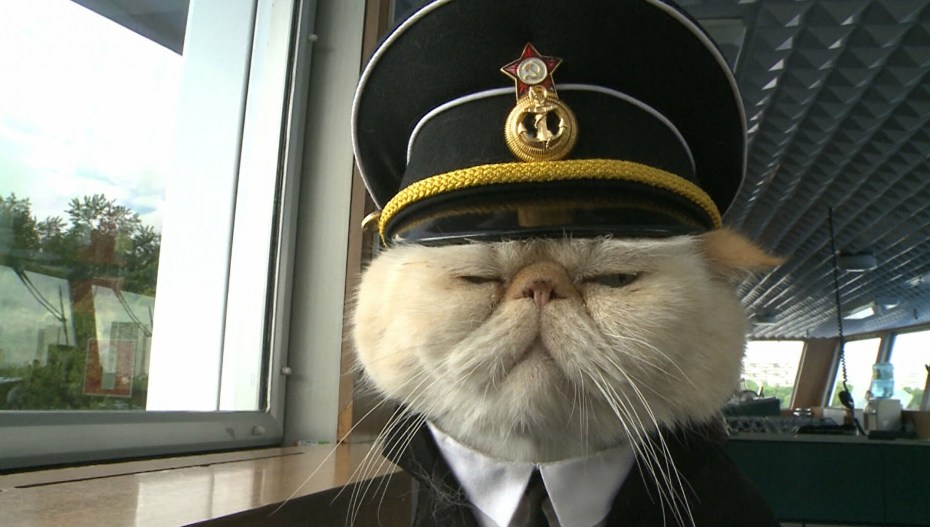 Коты матрос и Боцман