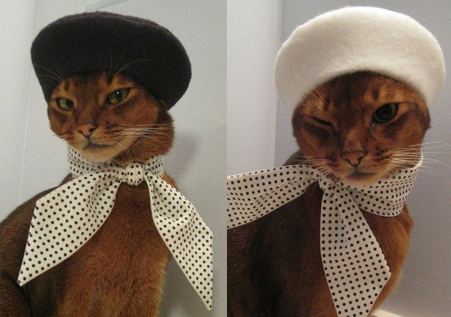 Бонжур Мем
