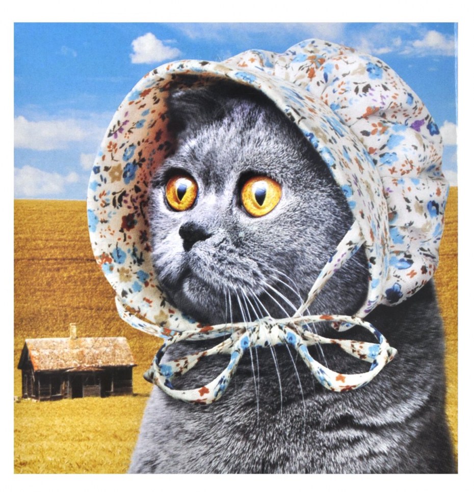Костюмы для котов