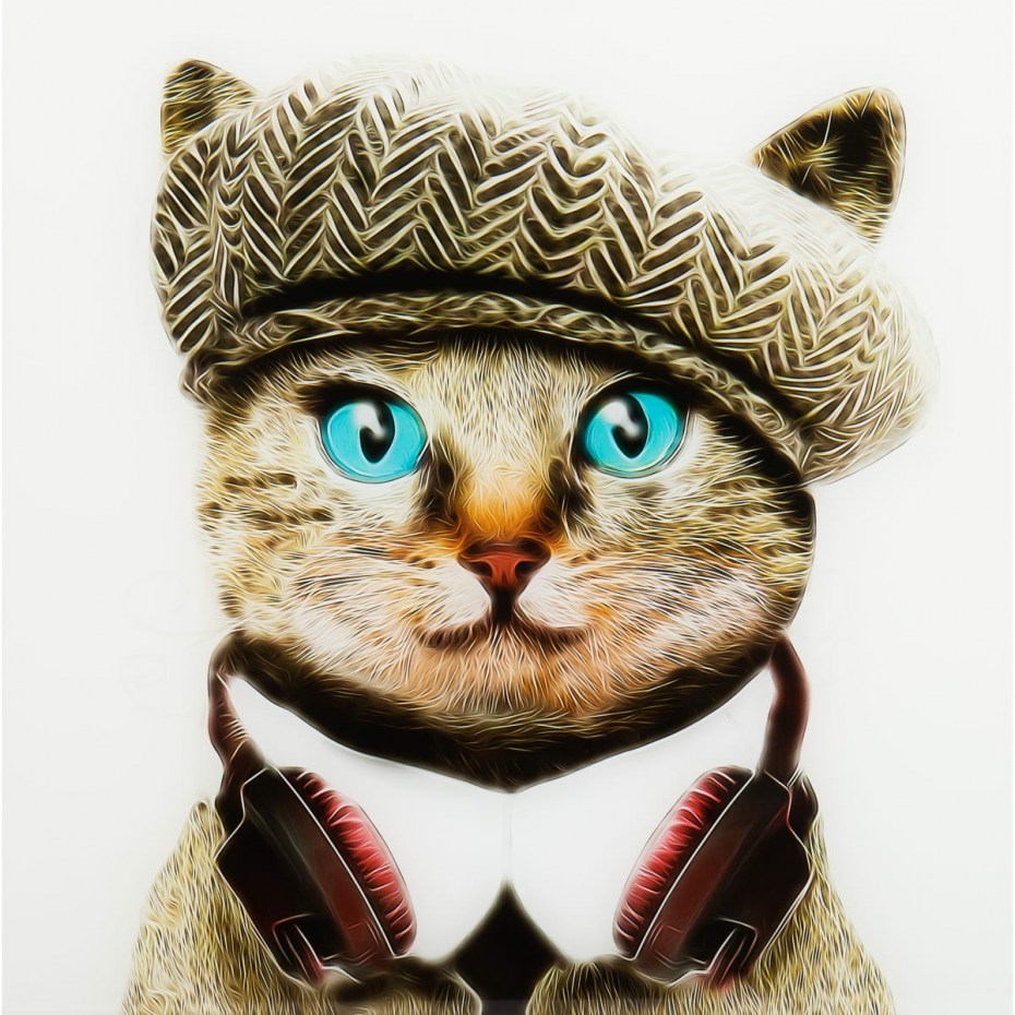 Коты в кепках