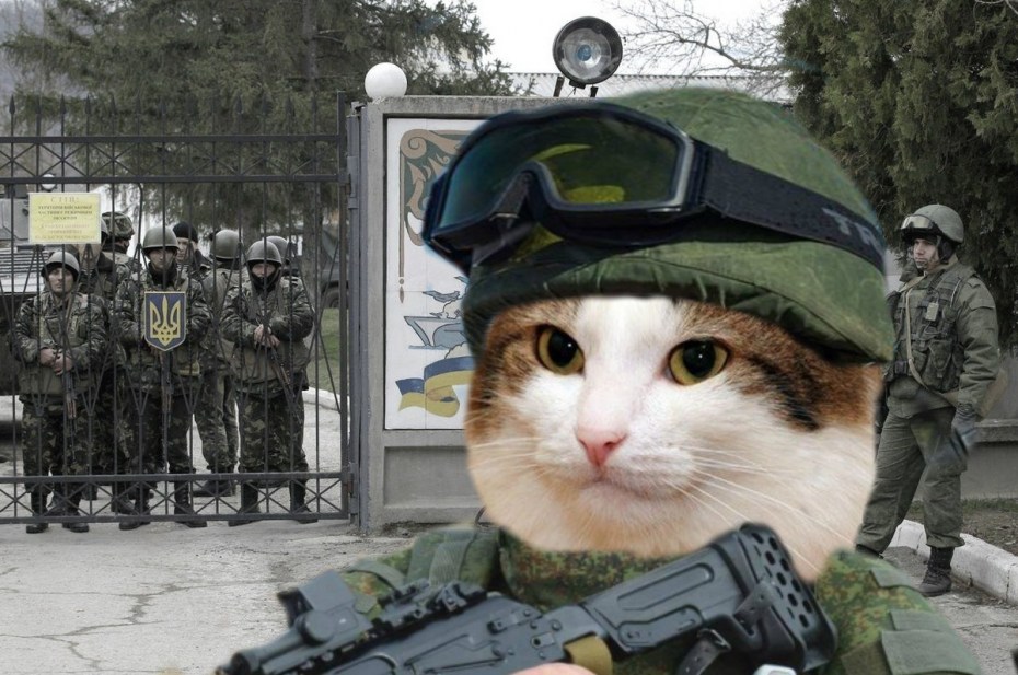 Кот в шапке