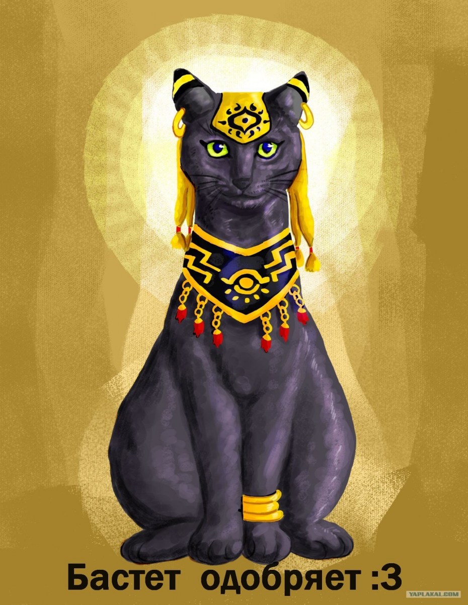Египетский сфинкс кот