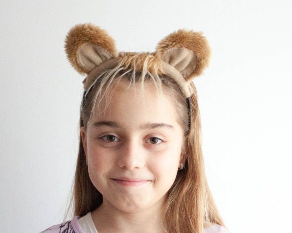 Animals Headbands