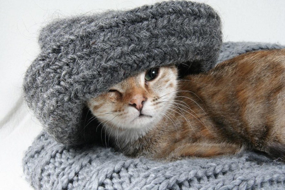 Шапка "кошка"