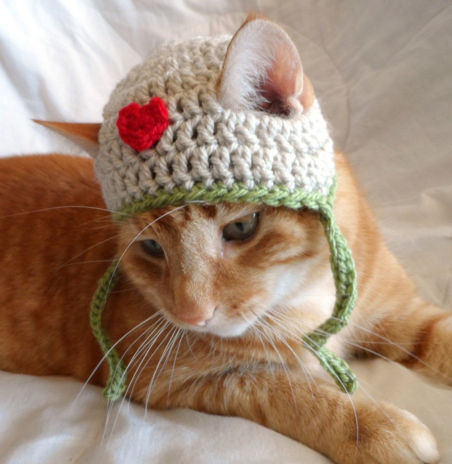 Шапочки для котиков