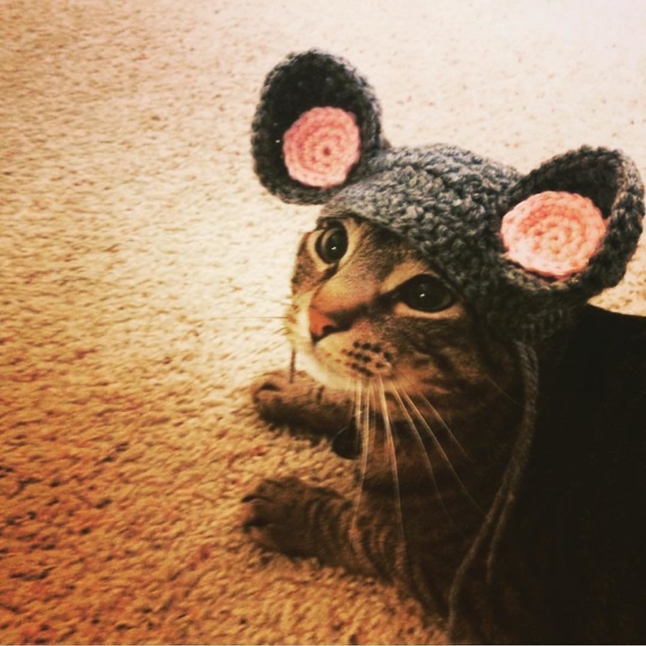 Шапка "кошка"