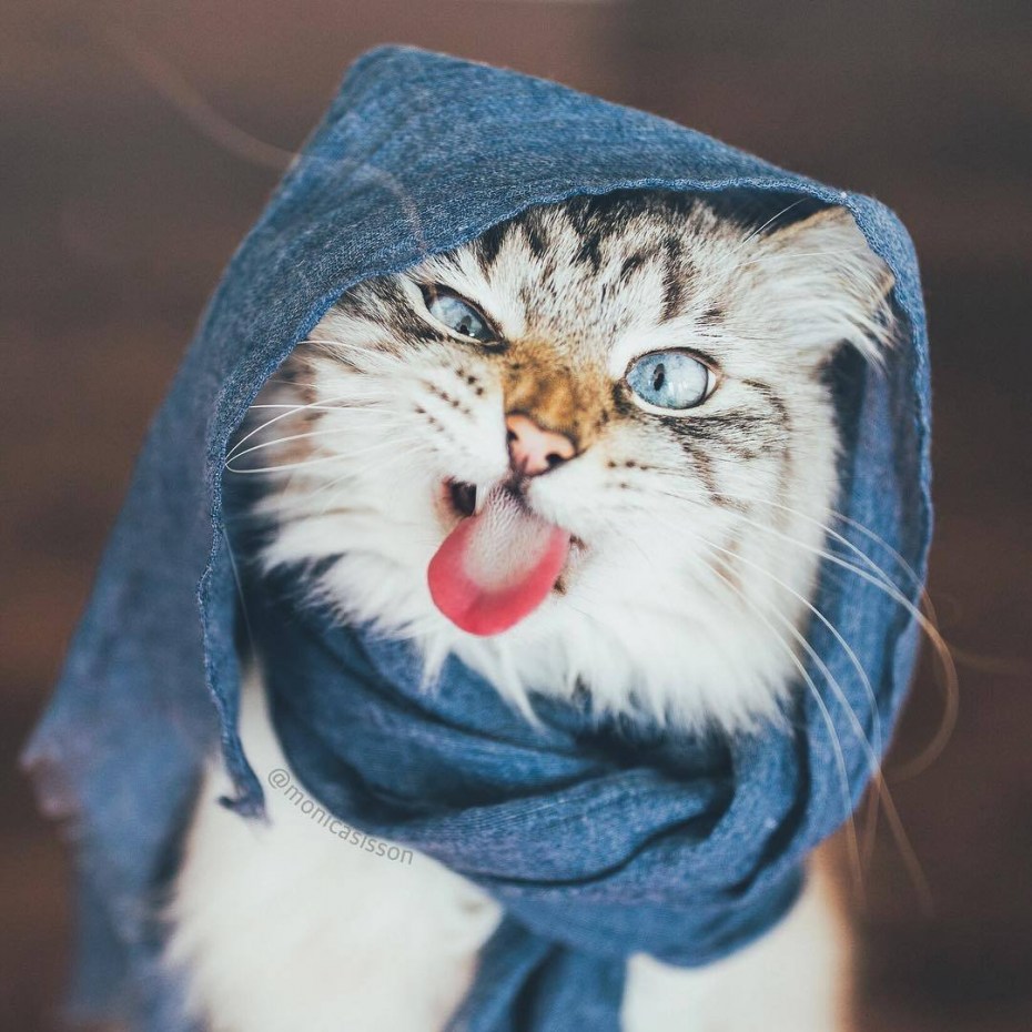 Шапка "кошка"