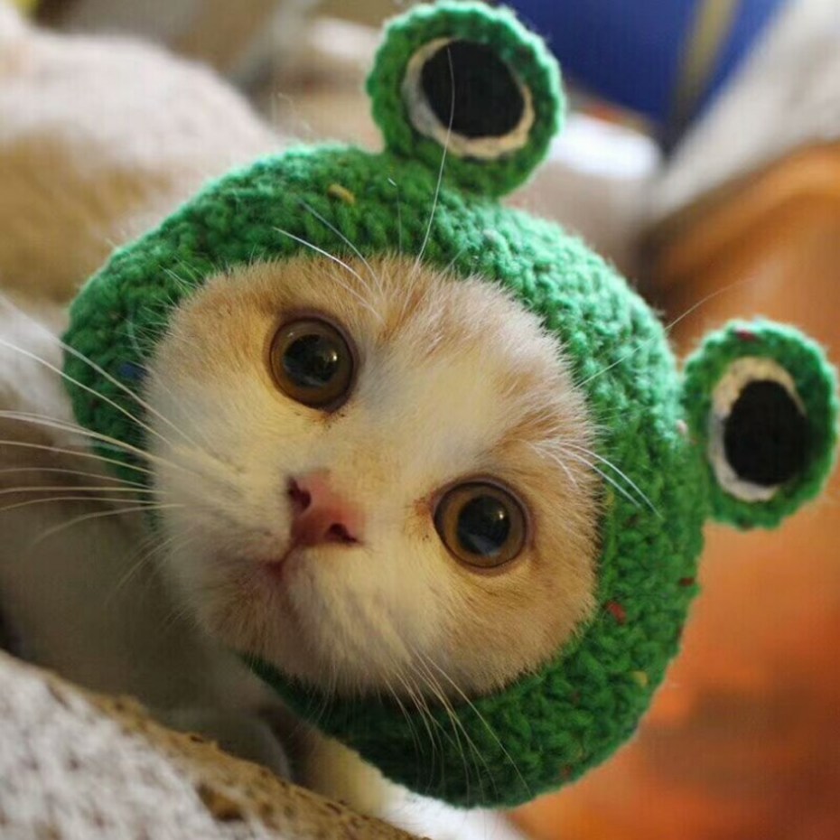 Шапочки для котиков