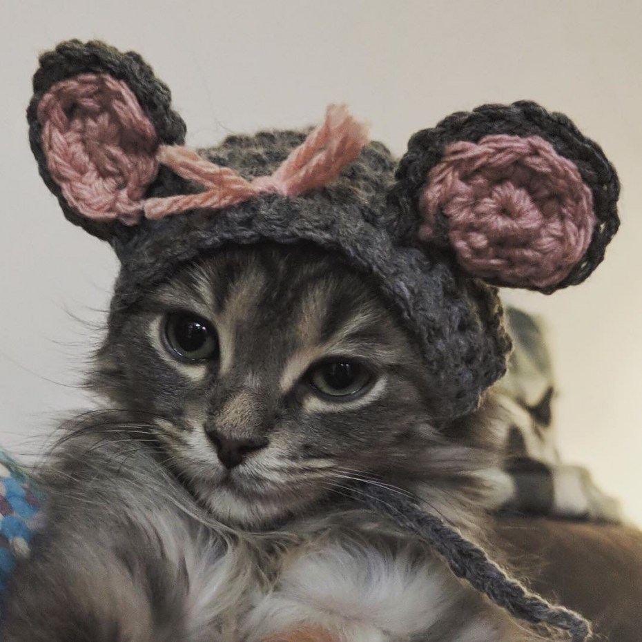 Шапка "котёнок"