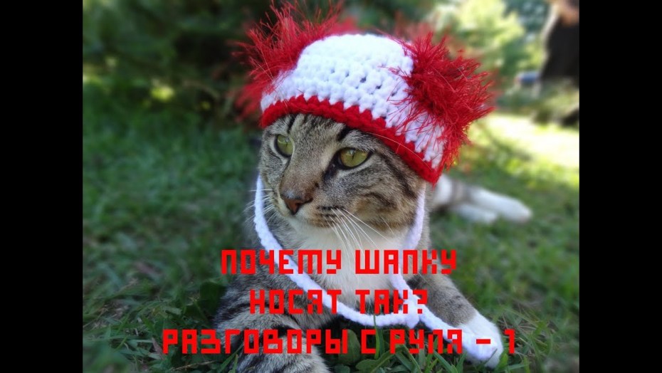 Вязаные шапочки для кошек