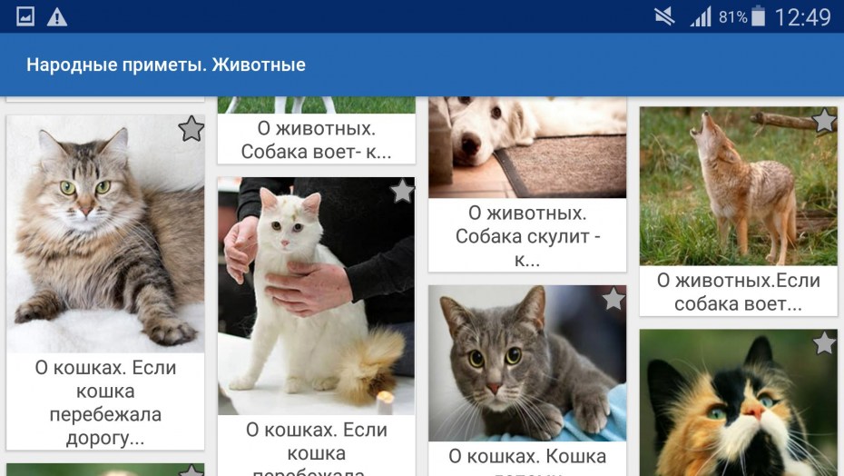 Хвост трубой!