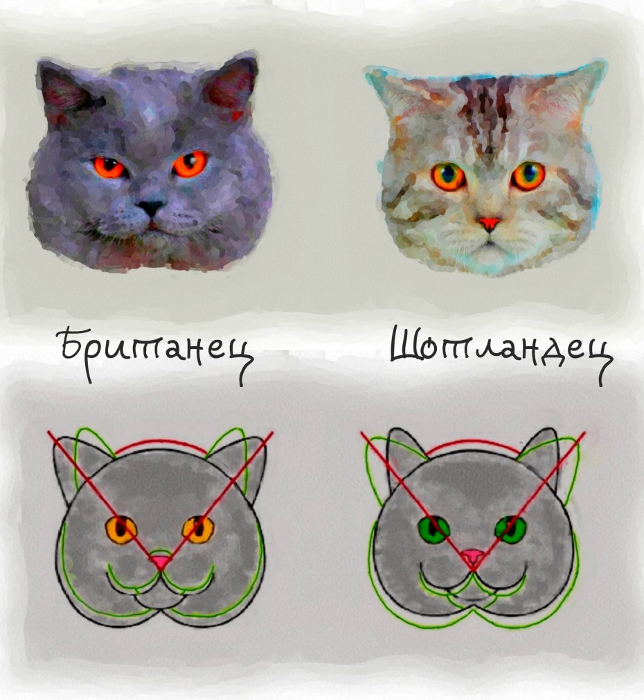 Скоттиш страйт и Британская разница
