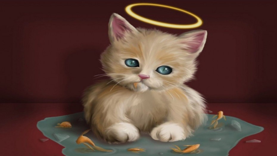 Кица кот