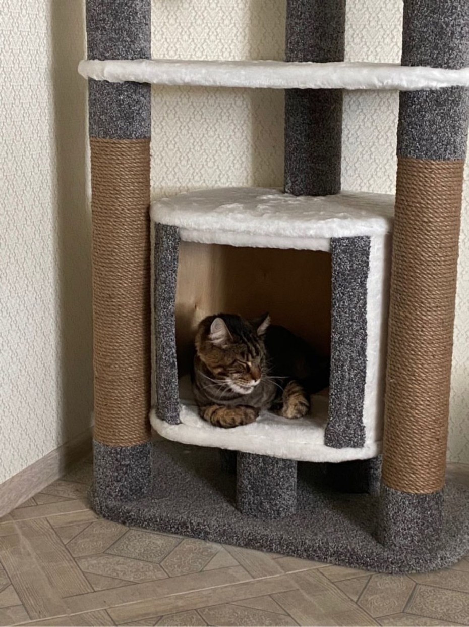 Лоток для кошек Catidea 51х38х25 см