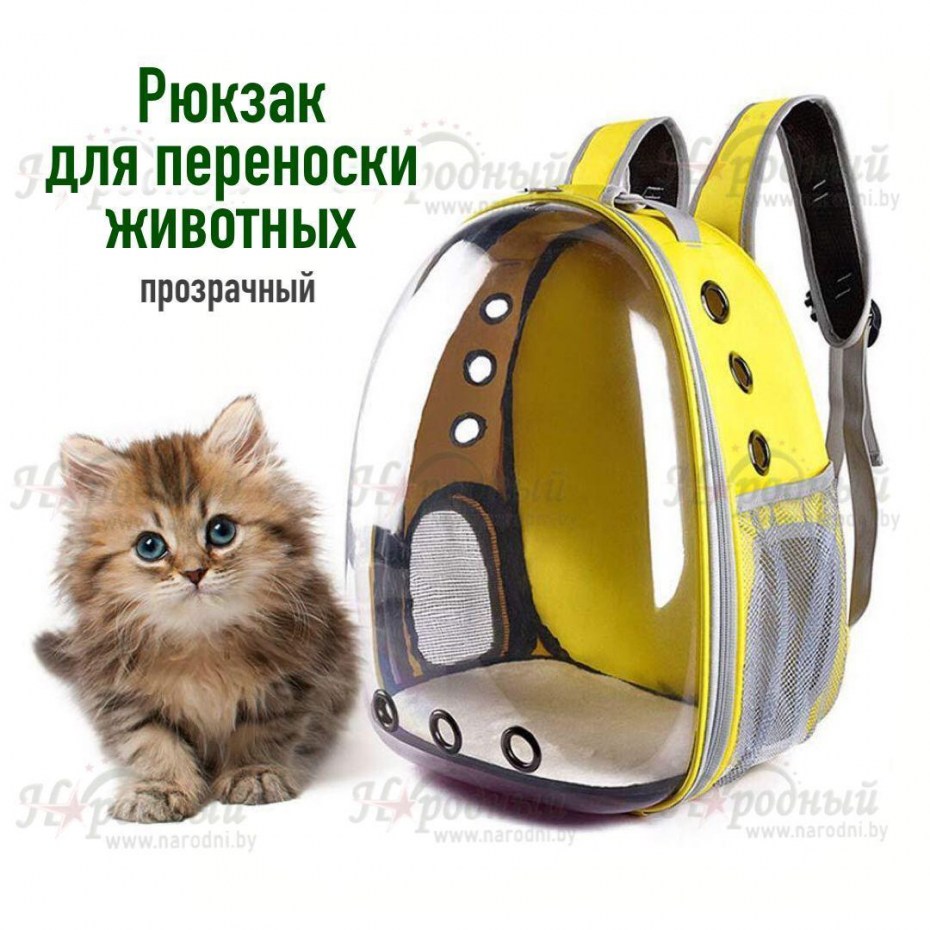 Детский рюкзачок Grizzly — RS-898-2