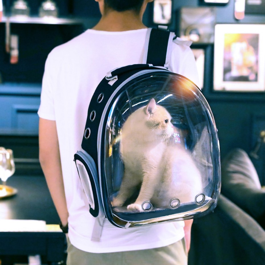 Xiaomi PETKIT Fresh Wind Cat Backpack