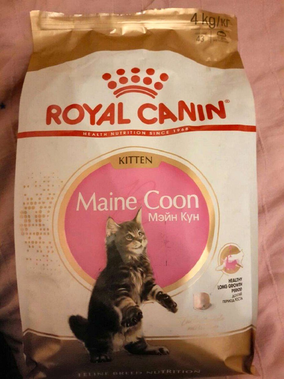 Роял Канин для кошек Мейн кун