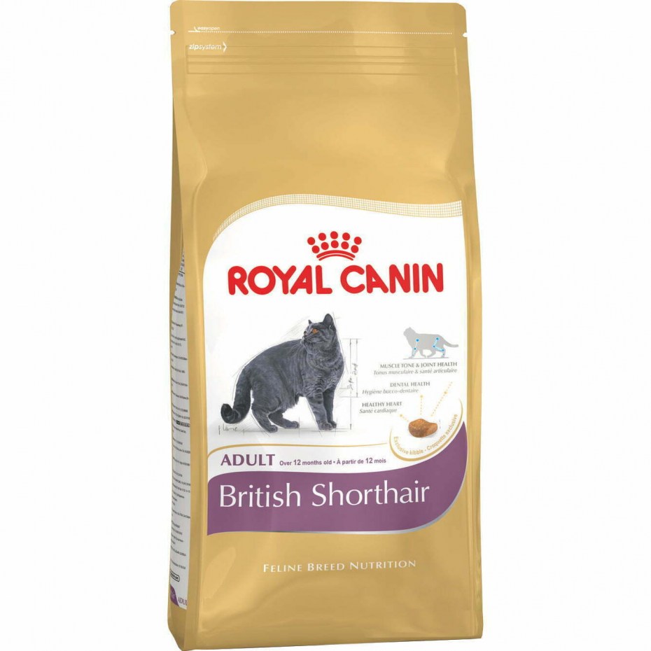 Royal Canin Maine Coon 31 4кг