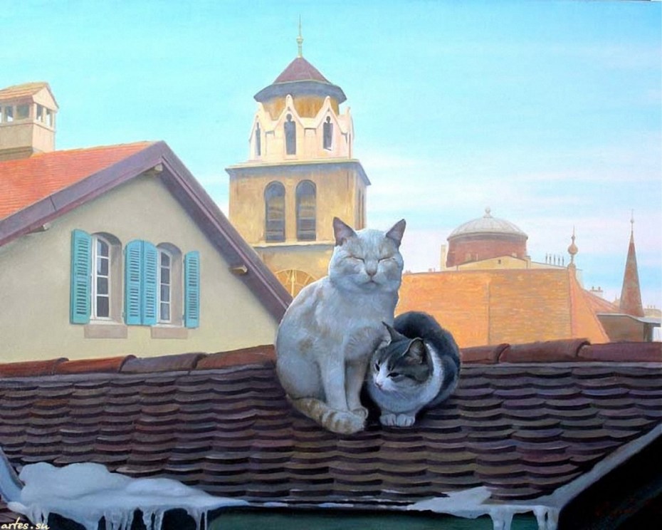 Мартовский кот на крыше