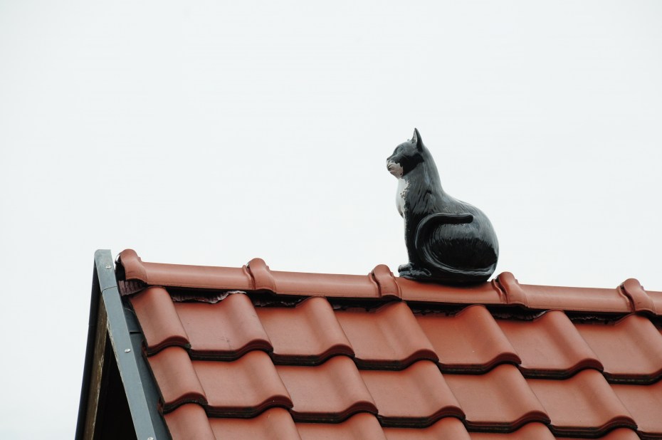 Кот на черепичной крыше