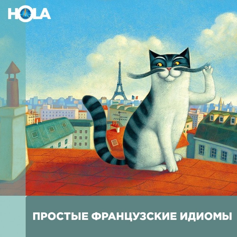 Паоло Доменикони кошки