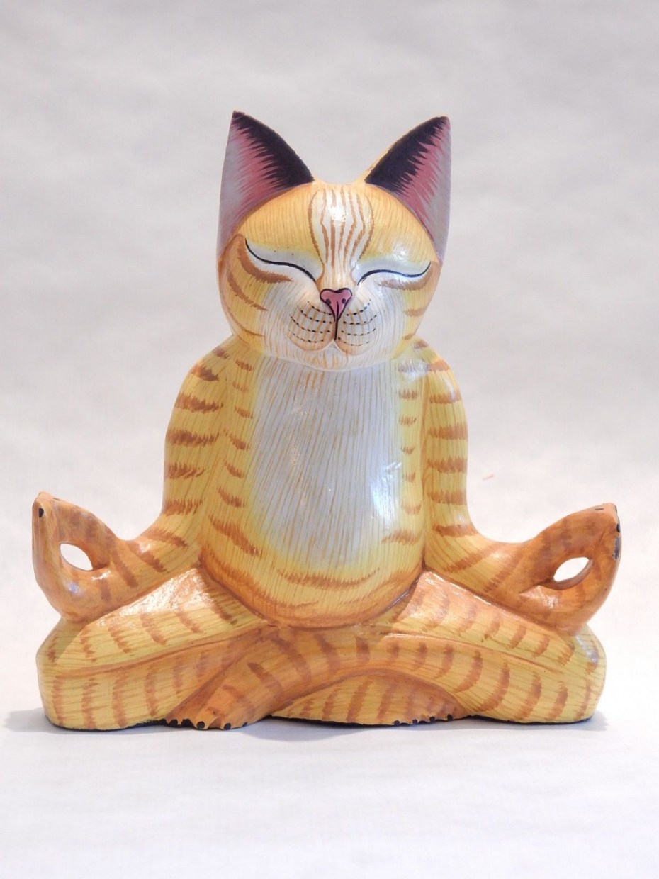 Кот йог