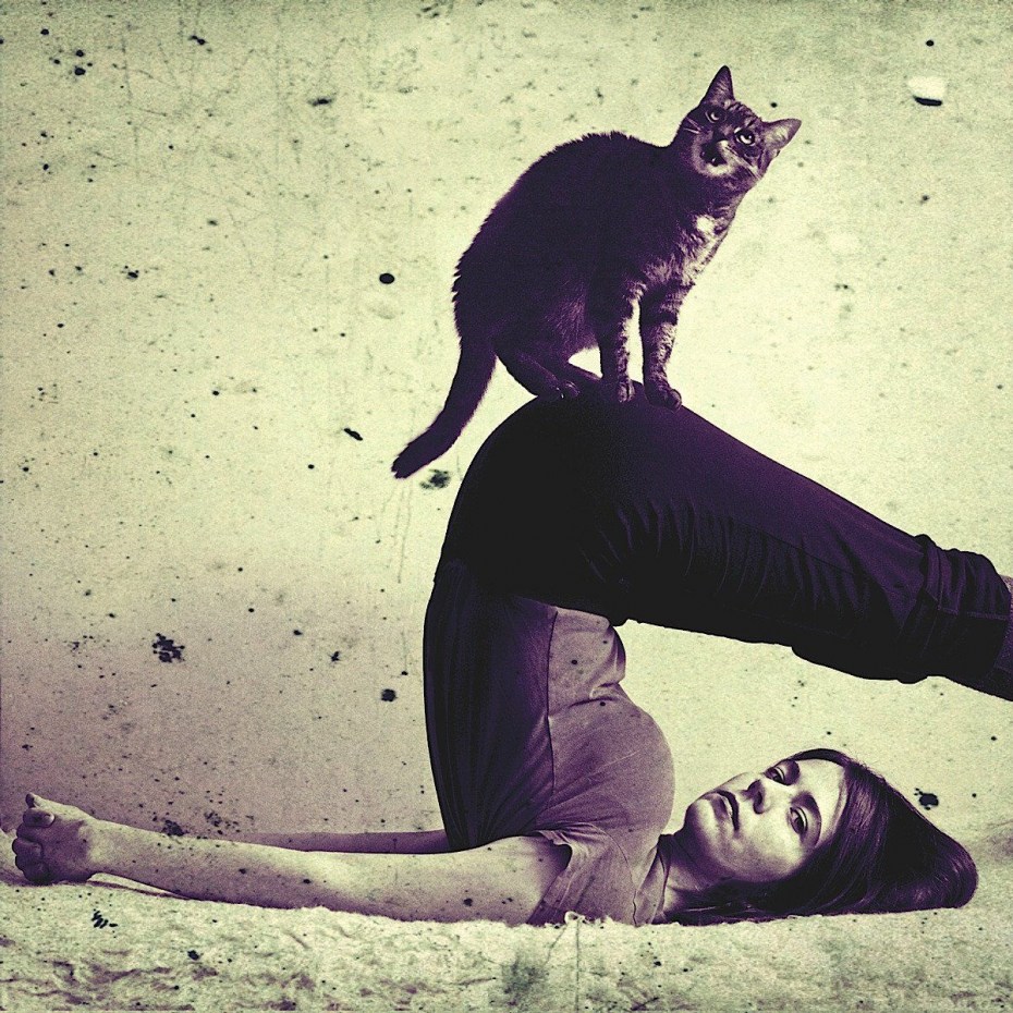 Кошка йога