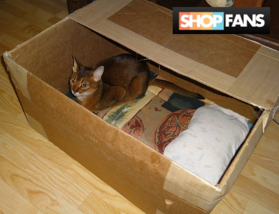Коробка для родов кошки – как создать для любимицы родильный домик?