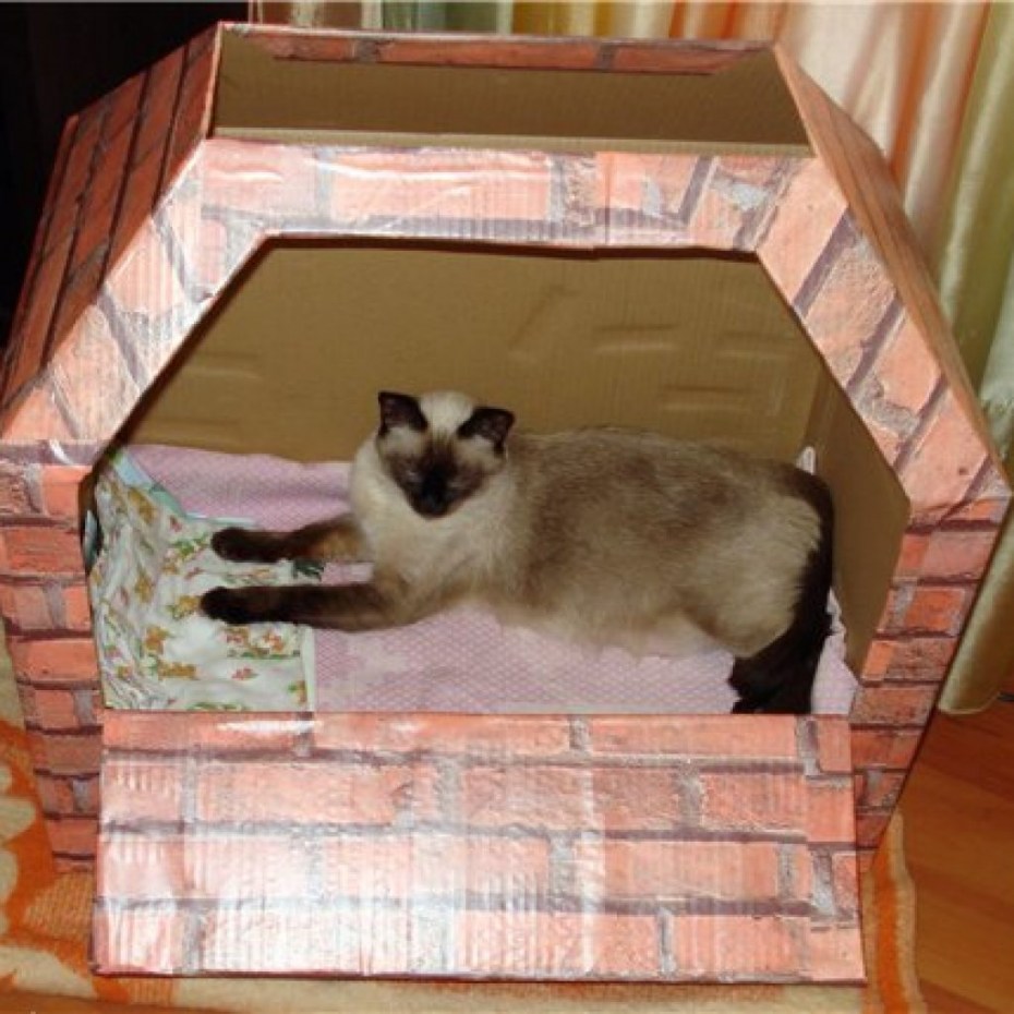 домик для кошки из коробки фото