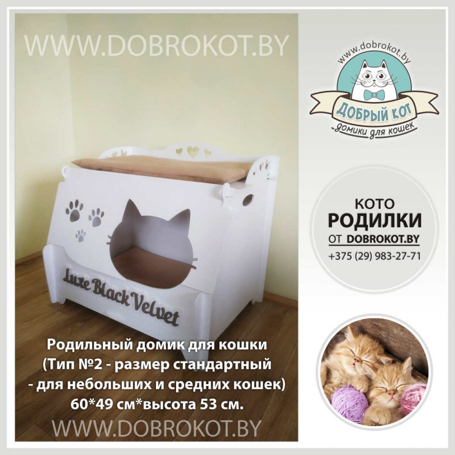 Дом для кошки для родов - картинки и фото koshka.top